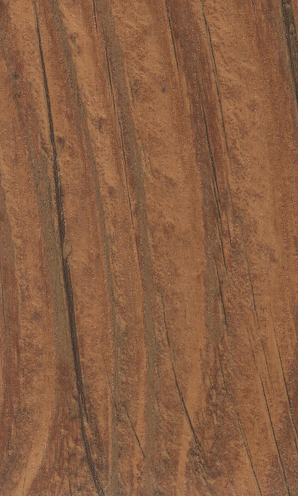 Античная сосна